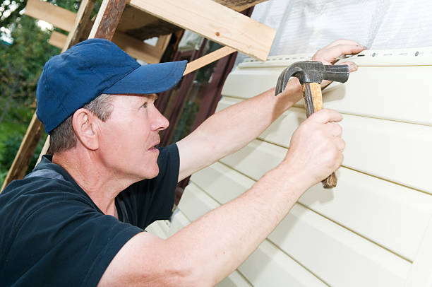 Best Stone Veneer Siding  in Brazoria, TX